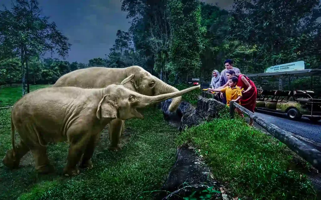 8ca41d0b-5acd-4af0-9214-c4a67151d8b3-7366-singapore-singapore-night-safari-tickets-with-tram-ride-05
