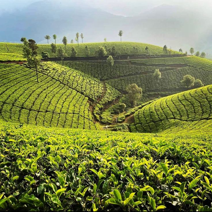 Kerela best time to visit
