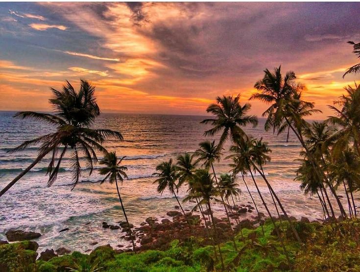 Top - goa - travel packages