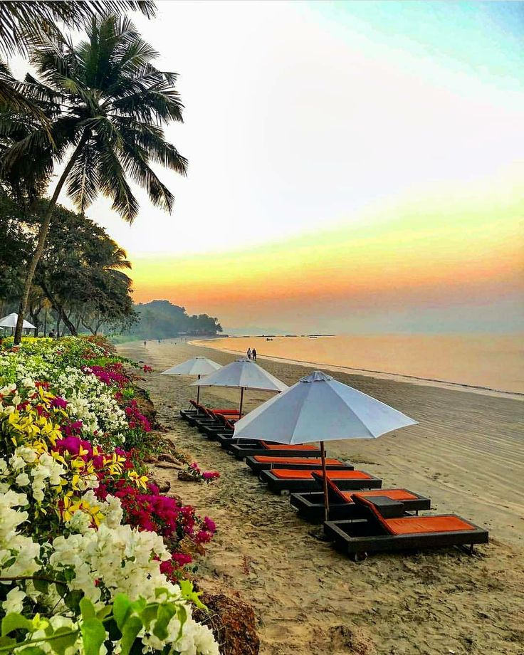 Top goa tour package 
