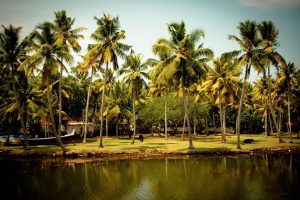 kerala tour package from delhi