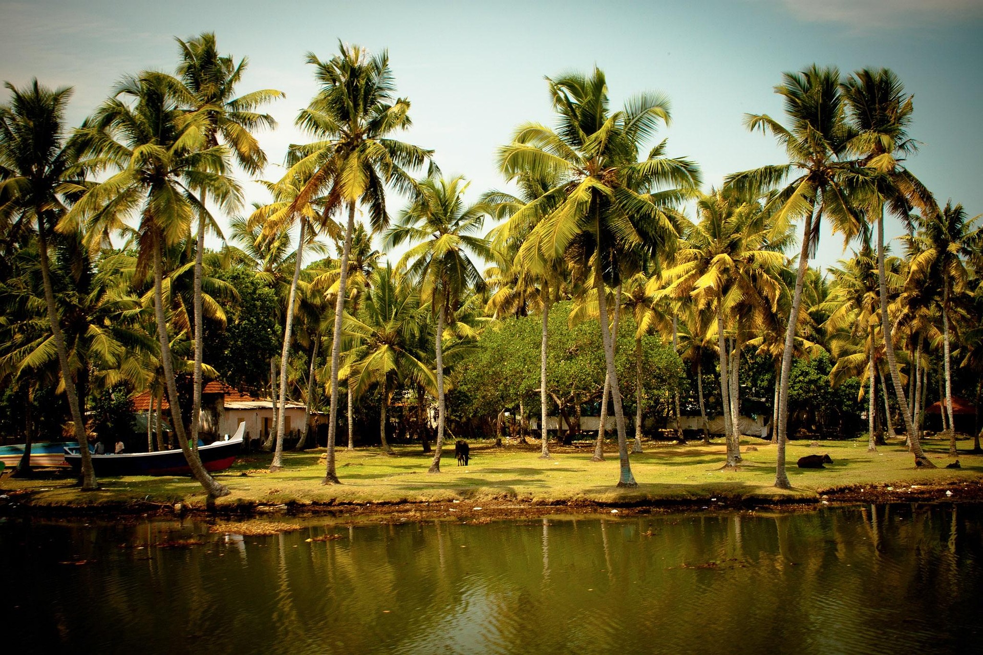 kerala tour package from delhi