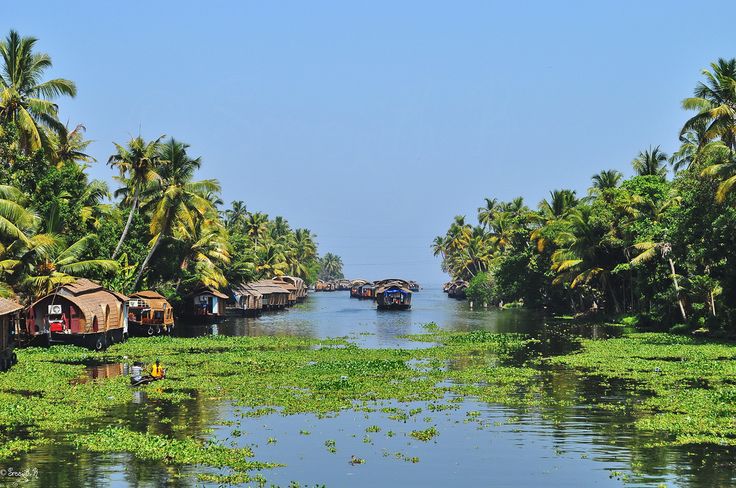 Kerala tour package from delhi 