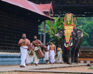Delhi to kerala trip