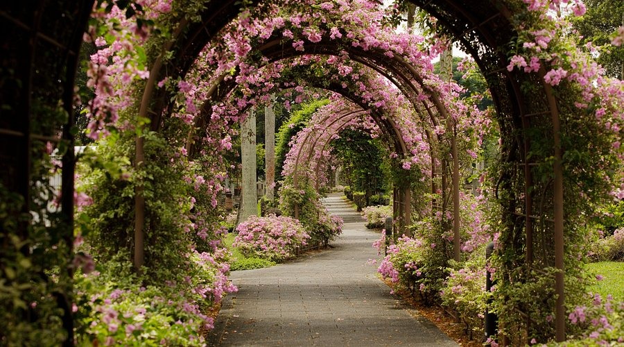 Singapore tour package from delhi 