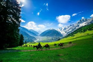 Kashmir tour package from delhi