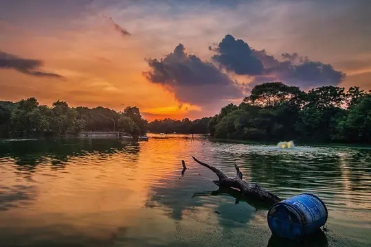 Kerala tour package from delhi 