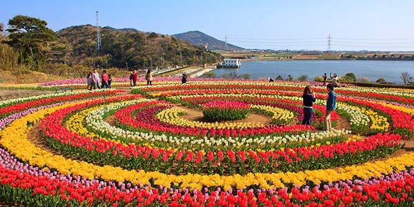 Kashmir tour package from delhi 