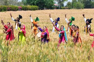 Kashmir tour package from delhi