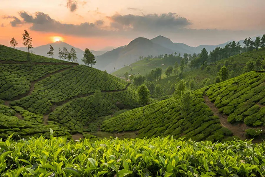 Kerala tour package from delhi 