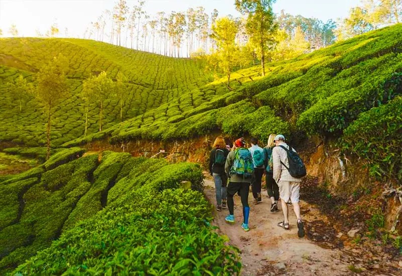 Delhi tour package from delhi 