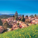 Ooty – Hotel Lakeview